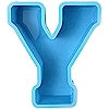 Custom Large Resin Letter /w Led Lights